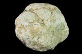 Keokuk Geode with Calcite Crystals - Missouri #135007-1